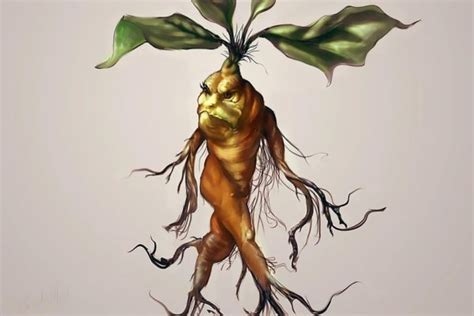 The Role of Root Magic in Love and Relationships